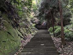 -缙云山景区