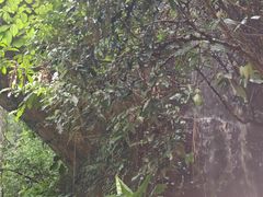 -龙颈河漂流