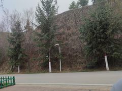 -青藏高原野生动物园