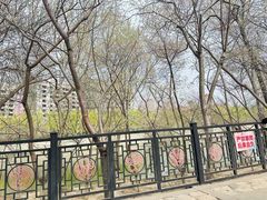 -桃花堤公园