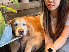 -自由生长植物工作室(深港花卉中心店)
