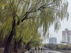 -迎泽公园