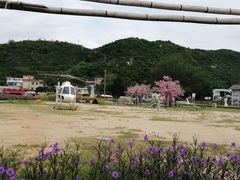 -玫瑰海岸文化旅游度假区