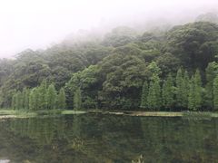 -广州市石门国家森林公园