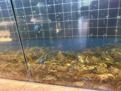 -川骄海鲜自助(亚运村店)