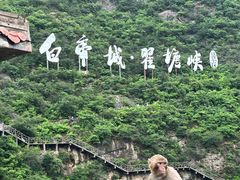 -白帝城·瞿塘峡景区