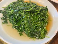 酒香草头-双塔老饭店