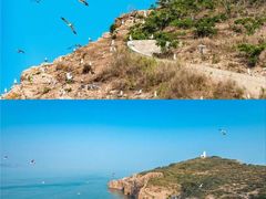 -海驴岛(荣成市)