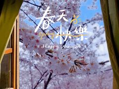 -南京外国语学校(仙林分校西区)