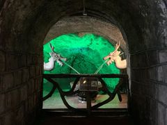 -青岛葡萄酒博物馆
