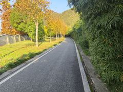 -贵阳市花溪国家城市湿地公园