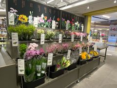 -鹿岛会员店(熙地港店)