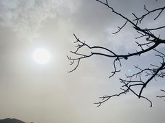 -望湖烤鱼