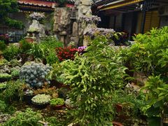 -山菌美食苑(振兴路店)