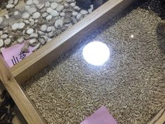 -陇上全荟兰州传统牛肉面(延吉路店)