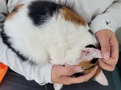 -美联众合动物医院·24h京西诊疗中心
