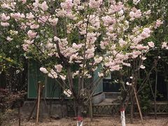-文瀛公园