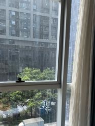 -广州紫馨整形外科医院