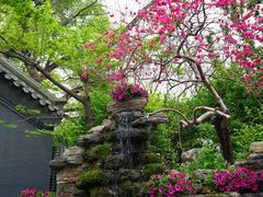 -白家大院·王府宫廷菜(苏州街店)