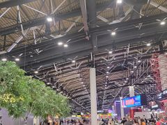 -谢列梅捷沃国际机场