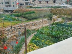 -军营村