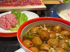 -潘小辣鲜肉老火锅