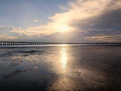 -宝安西湾红树林湿地公园