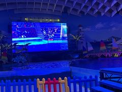 -海合安武汉极地海洋公园