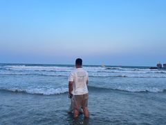 -日照海滨国家森林公园