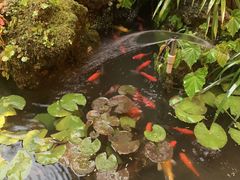 -华冠悠岚·庭院餐厅(青城后山店)