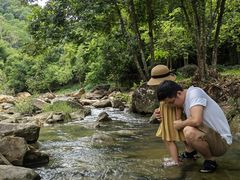 -广州白江湖森林公园