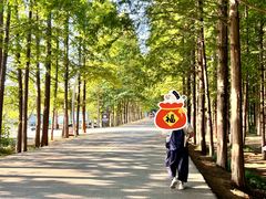 -日照海滨国家森林公园