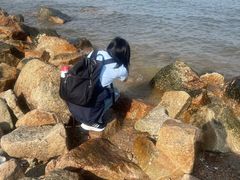 -野狸岛