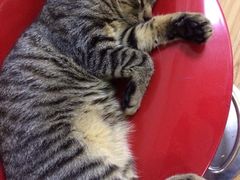 iphone_upload_pic-盛京一禾