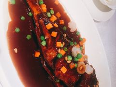 -碧丽宫大酒店(召稼楼店)