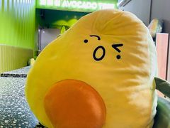 -油梨树AVOCADO TREE(顺义新国展店)