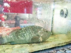 -巽寮印象美食部落餐厅·海鲜·地方特色菜(惠州体验店)