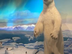 -陕西自然博物馆