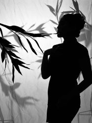 -Mregina 美人纪摄影(样片研发中心)