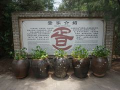 -北海金海湾红树林生态旅游区