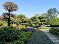 -南宁南湖公园