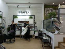 -798·beaver海狸荟