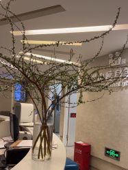 -深圳鹏爱秀琪医疗美容医院