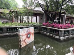 -顺峰山公园