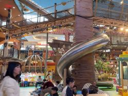 -卡通尼·Safari非洲探索乐园·生日会(金桥国际商业广场店)