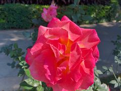 -人民公园(罗湖区)