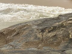-海沧湾公园