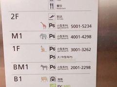 -虹桥综合交通枢纽-P6停车库