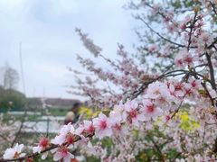 -广富林郊野公园