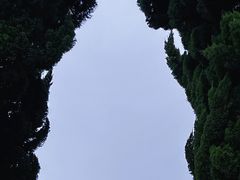 -小麦岛公园